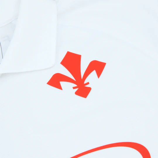 2024-25 ACF Fiorentina Away Kit