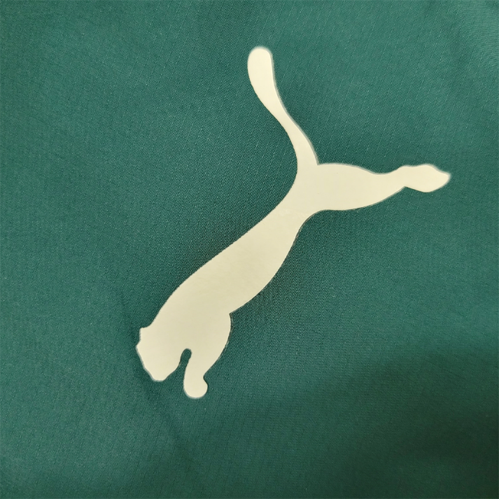 SE Palmeiras Windbreaker