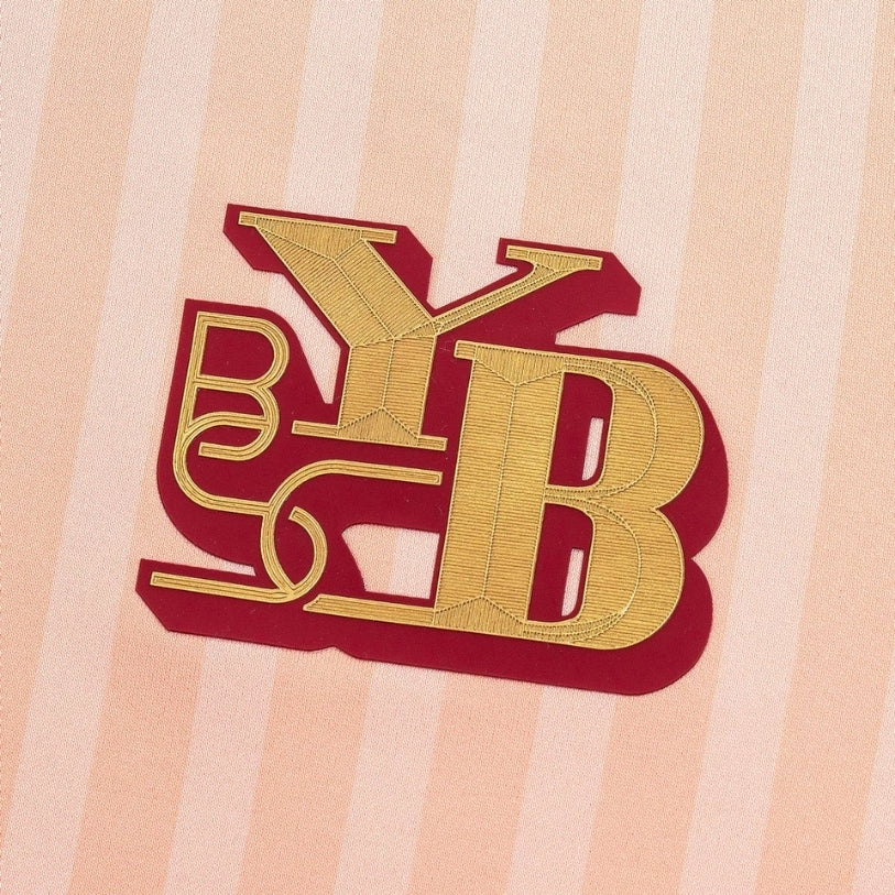 BSC Young Boys Third 25/26