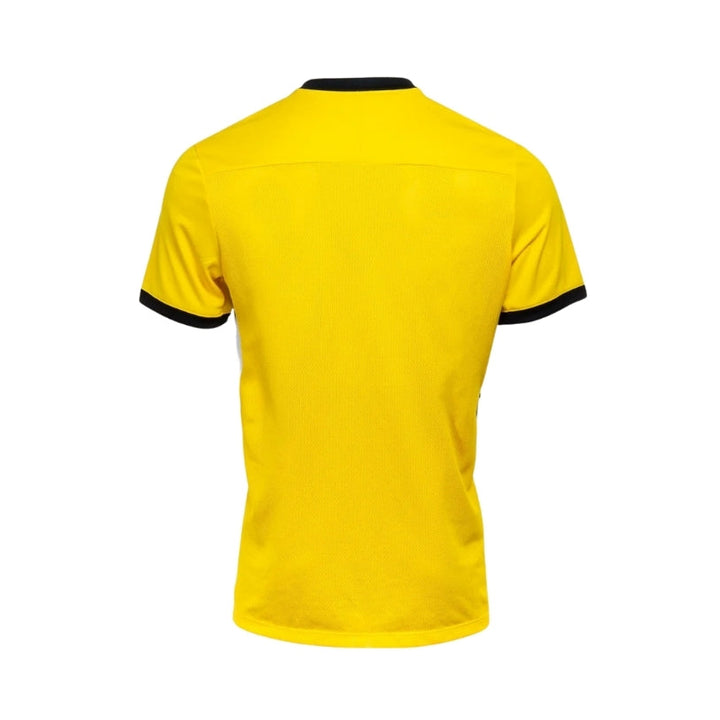 BSC Young Boys Training 25/26