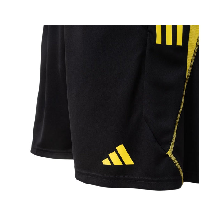 Shorts - Flamengo Training 24/25