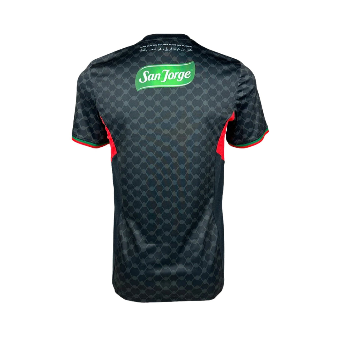 CD Palestino Alternative 24/25