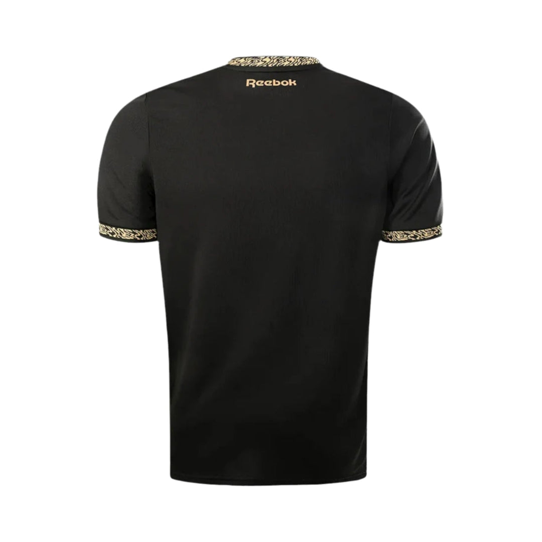 Botafogo Alternative 24/25