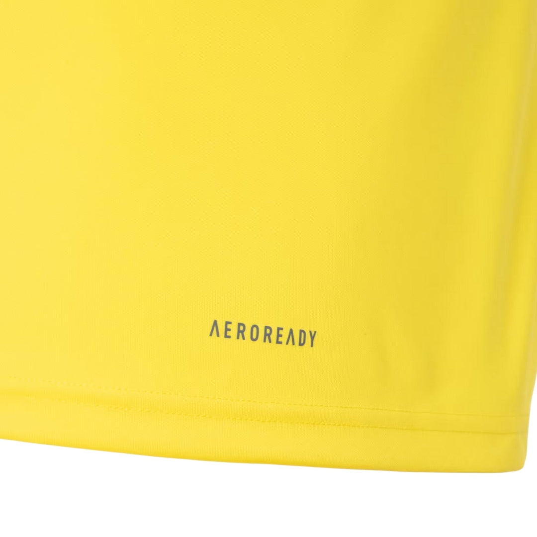 Flamengo Training 24/25