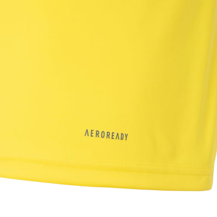 Flamengo Training 24/25