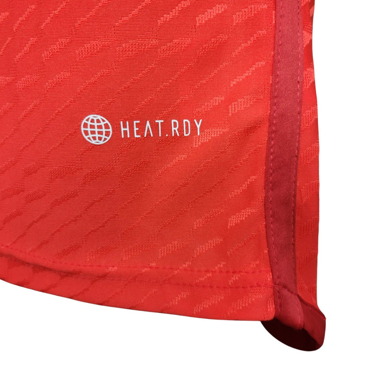 Portugal Alternative 24/25 - Player Version