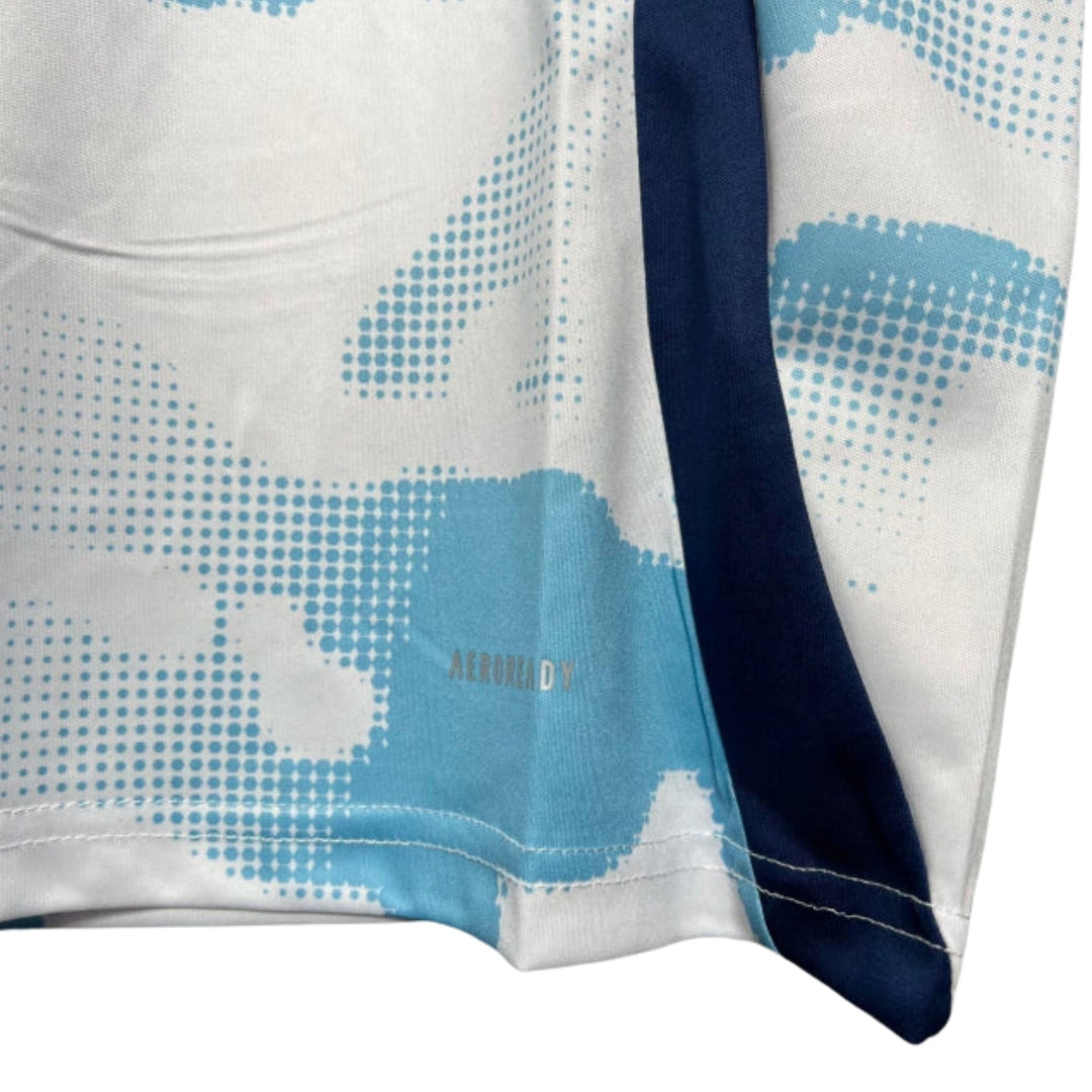 Costa Rica Alternative 24/25 - Copa América 2024