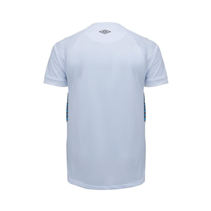 Grêmio Alternative 23/24