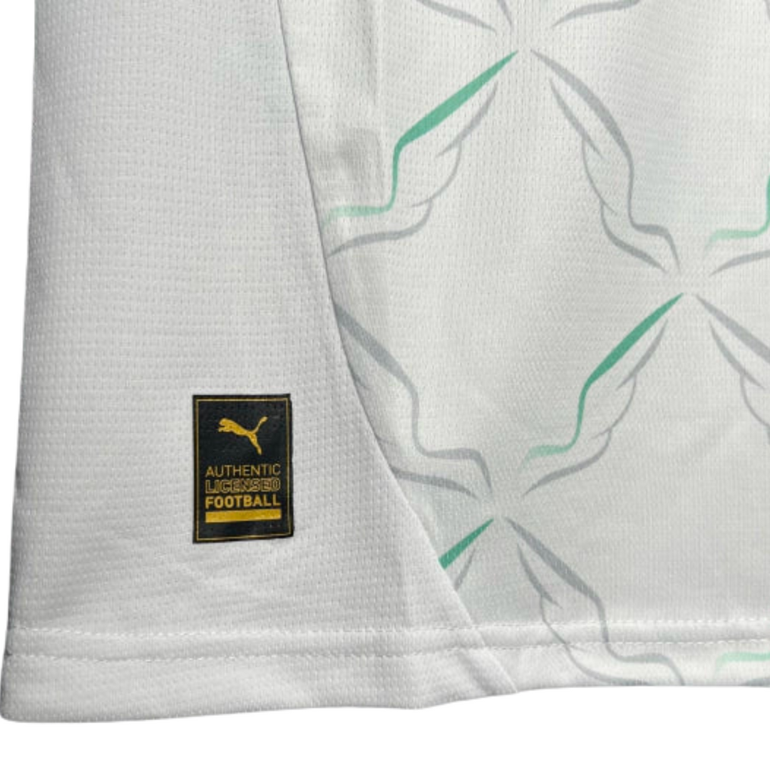 Austria Alternative 24/25 - Euro 2024