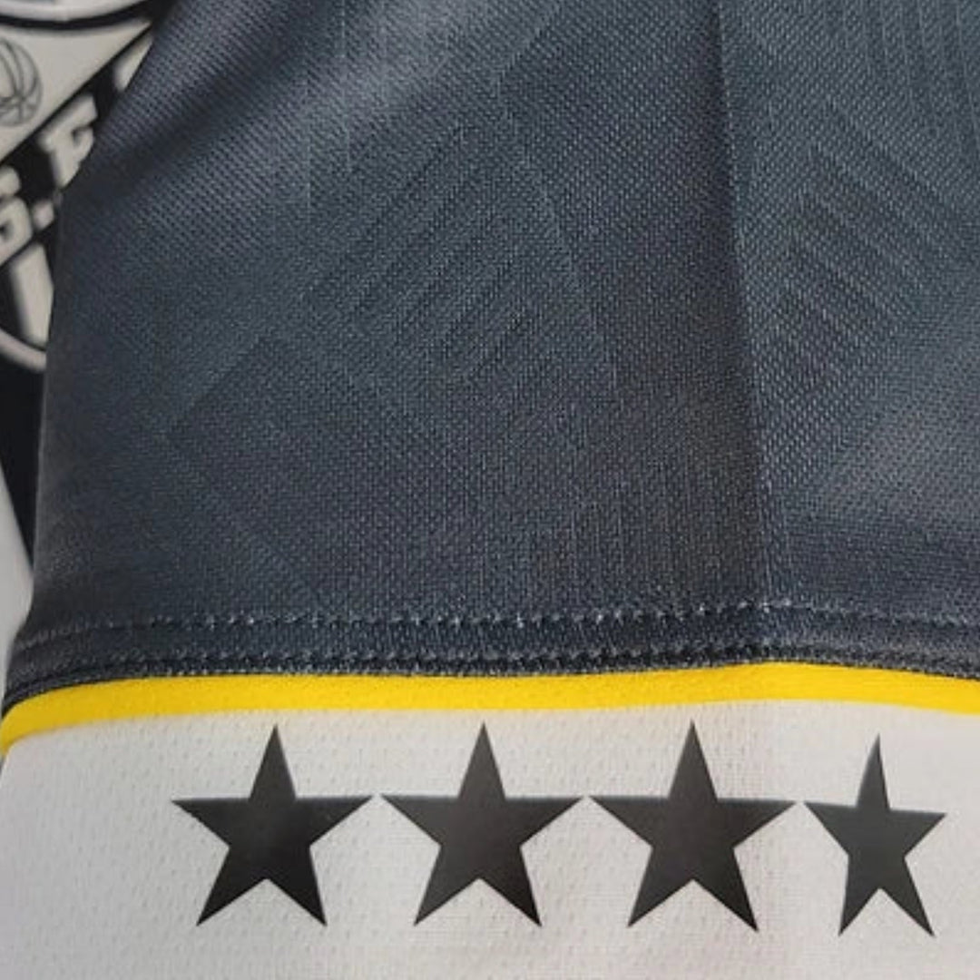 Santos Alternative 23/24