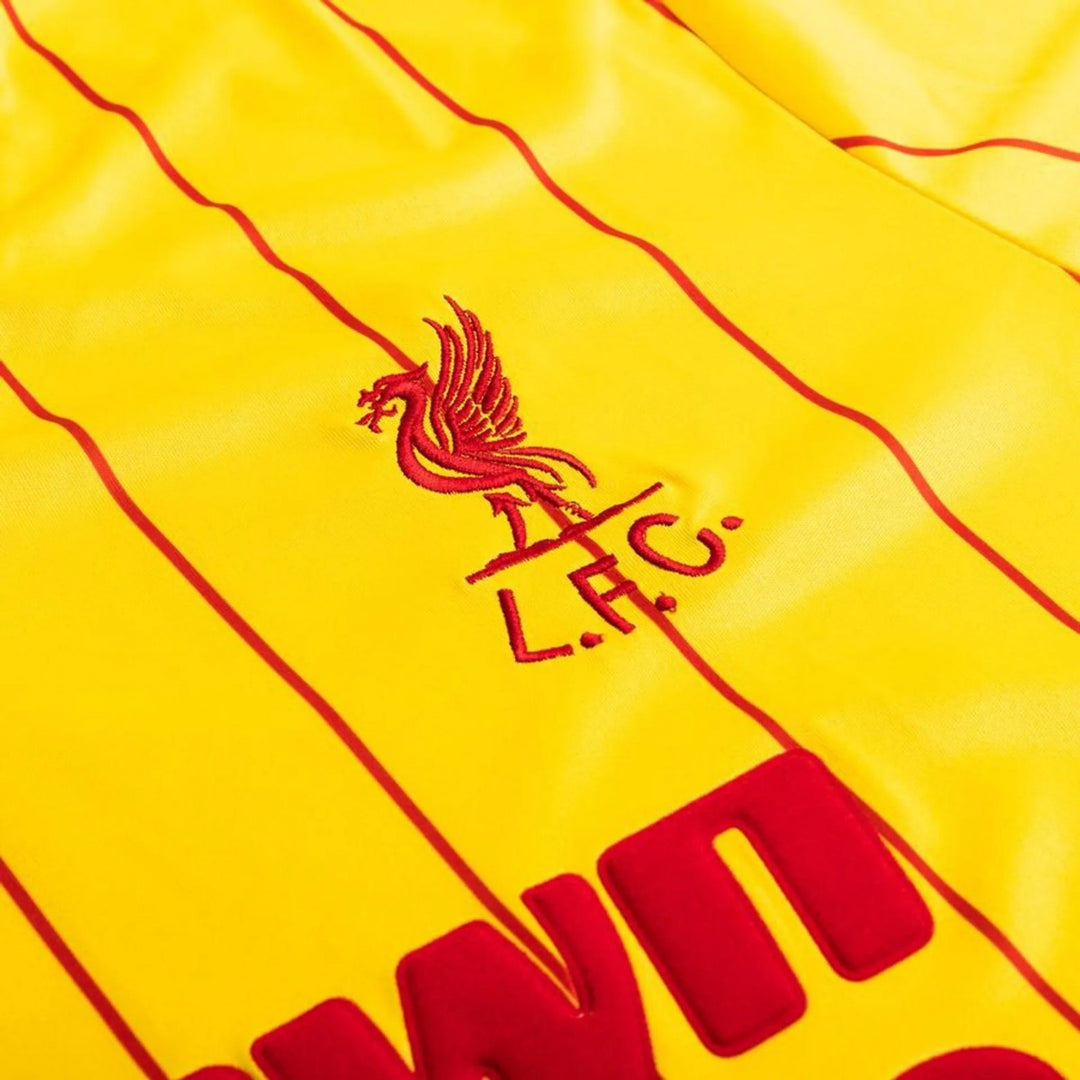 Liverpool Alternative 84/85