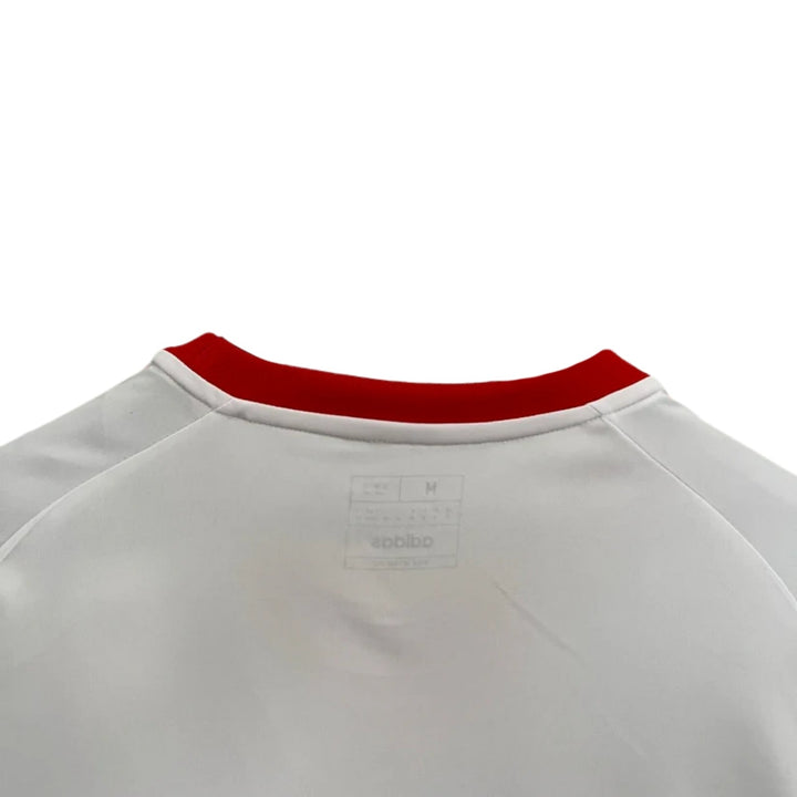 Alternative Venezuela 24/25 - Copa América 2024