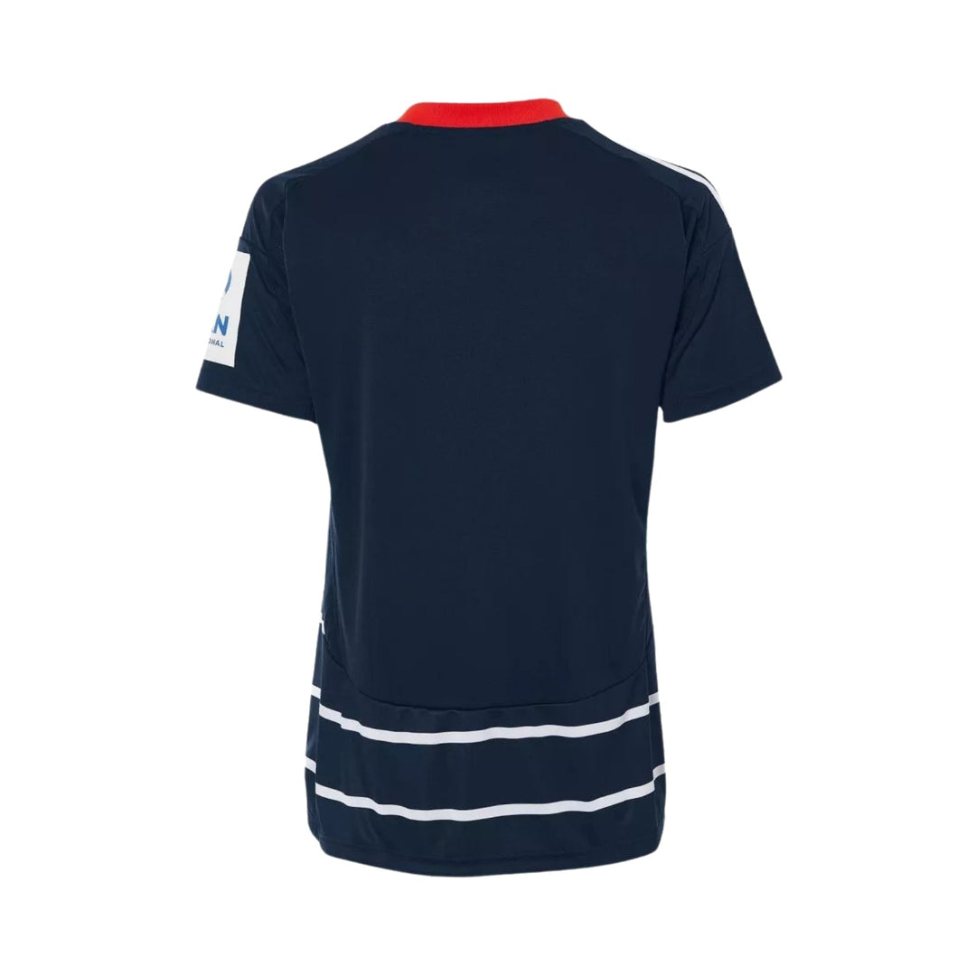 Hamburg SV Alternative 24/25