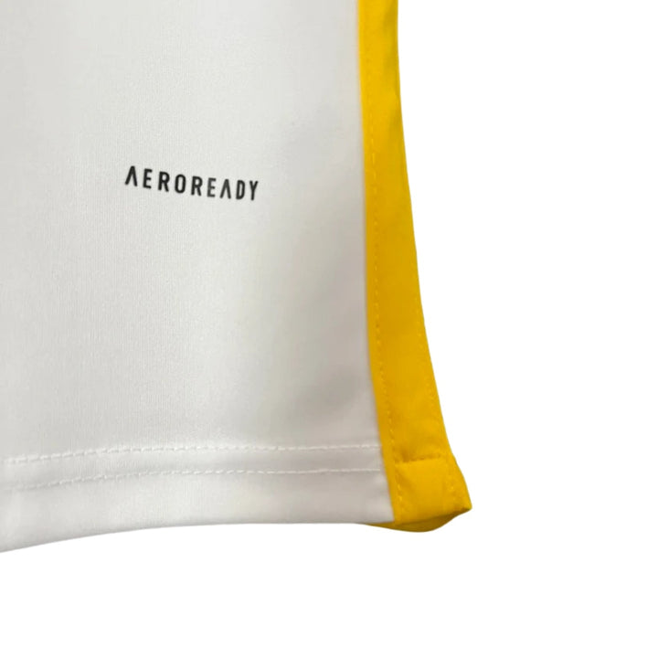 Alternative Venezuela 24/25 - Copa América 2024