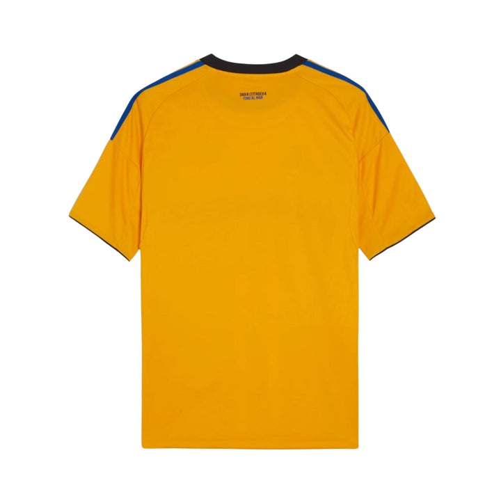 Alternative Step 25/26