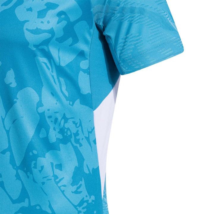 Hoffenheim Alternative 25/26