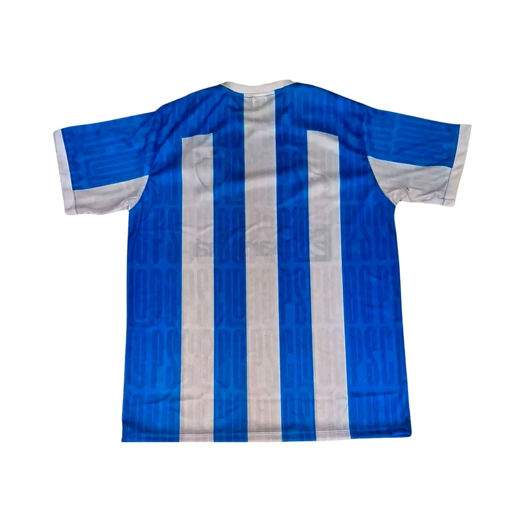 Paysandu Principal 24/25