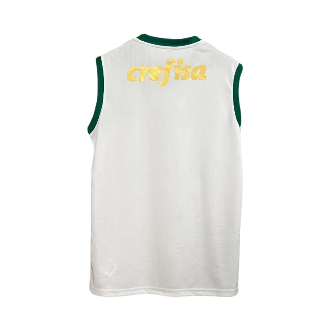 Palmeiras Training 23/24 - Manga Cava