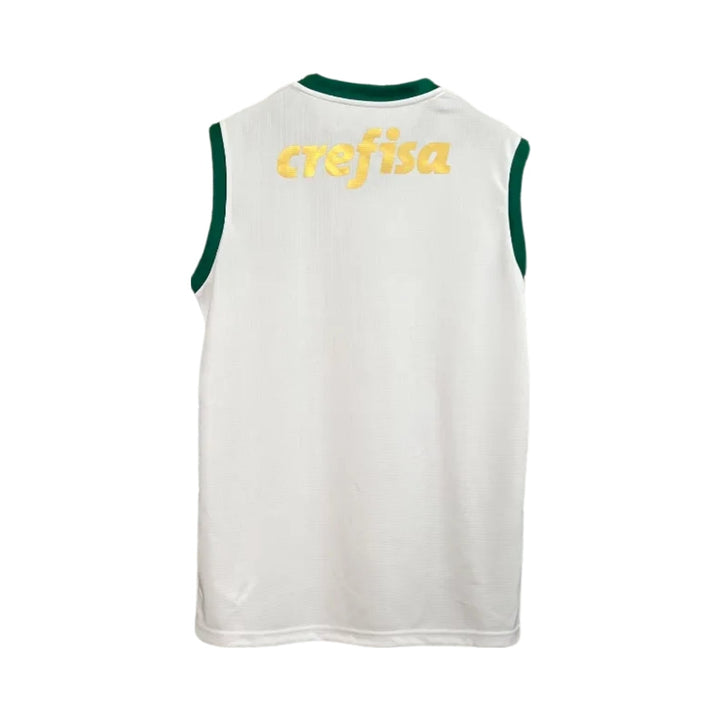 Palmeiras Training 23/24 - Manga Cava