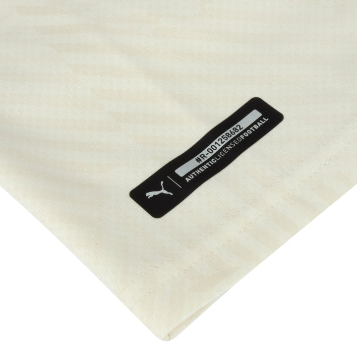 AC Milan Alternative 21/22