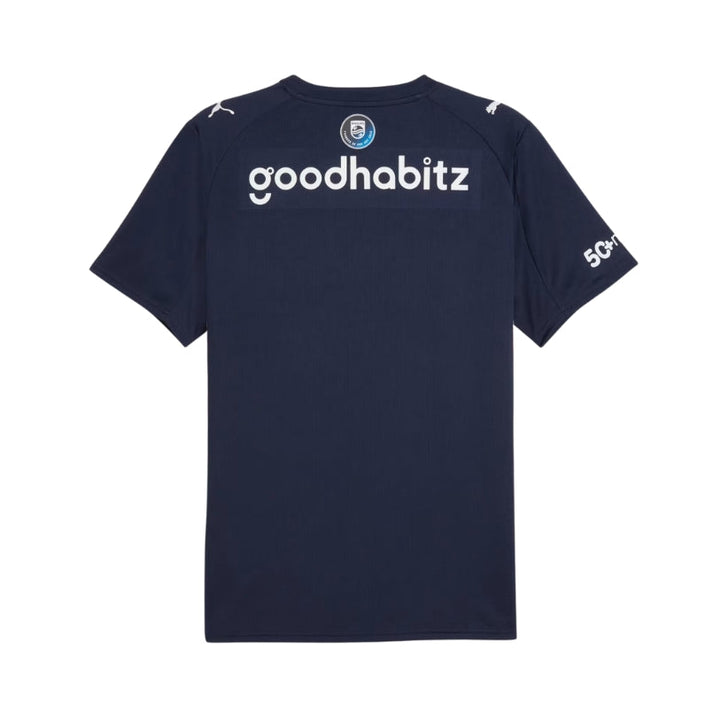 PSV Alternative 25/26