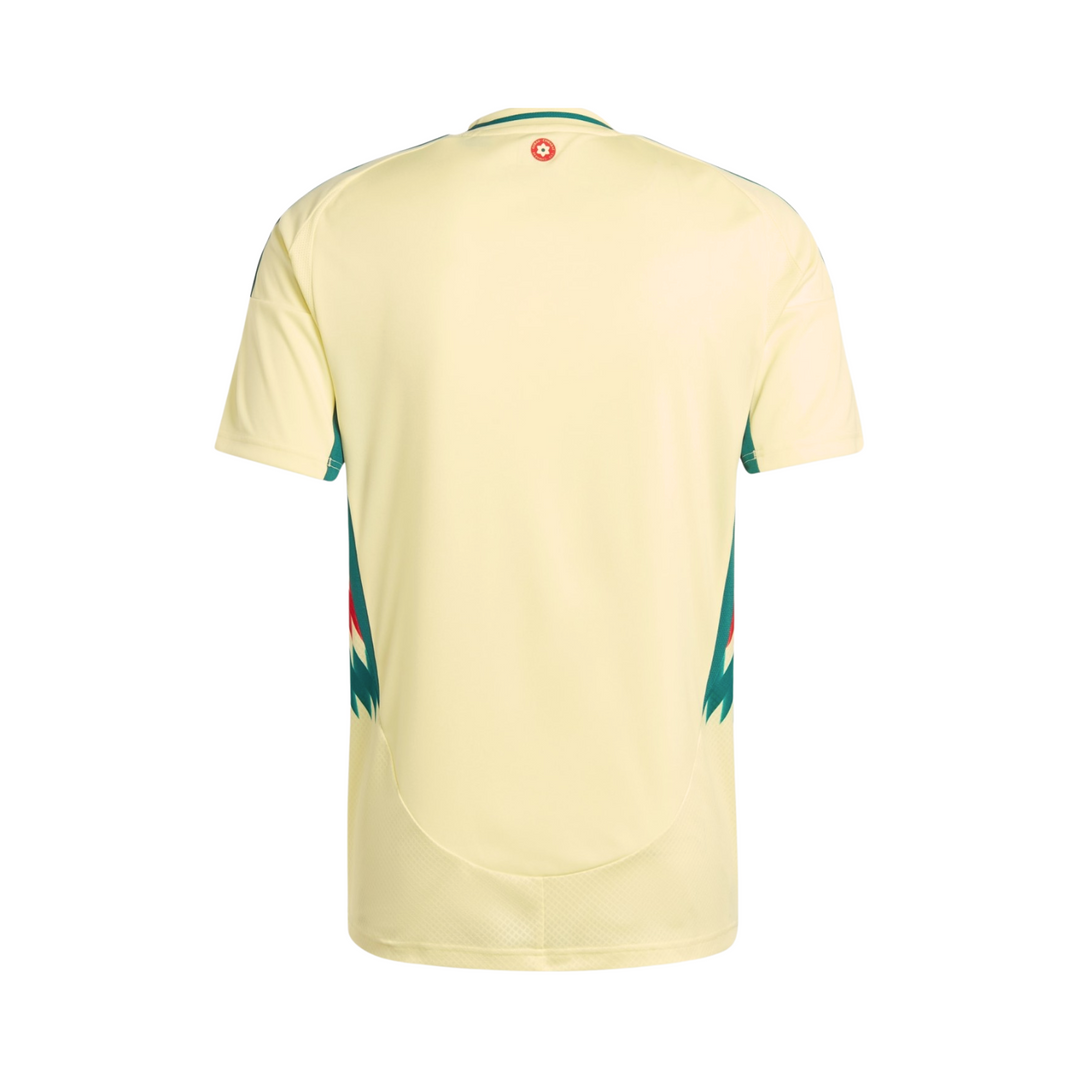 Wales Alternative 24/25 – Euro 2024