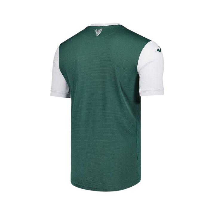 Hibernian Home 25/26