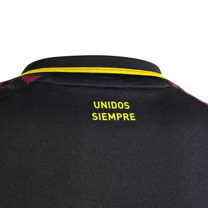 Peru Alternative 24/25 - Copa América 2024