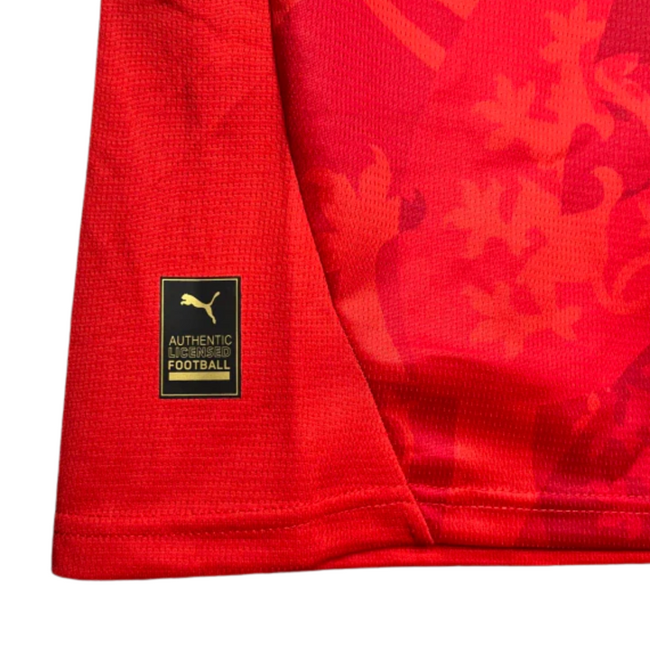 Czech Republic Home 24/25 - Euro 2024