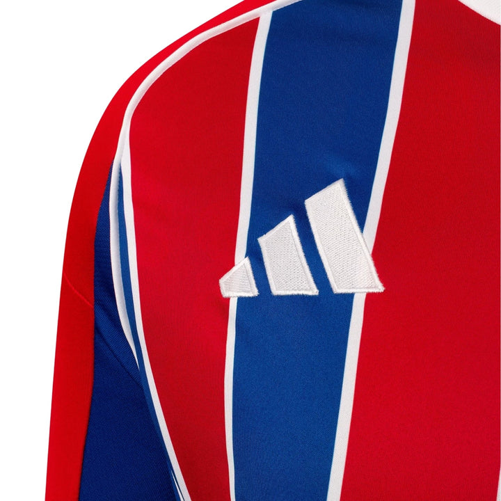 Colo-Colo Third 25/26