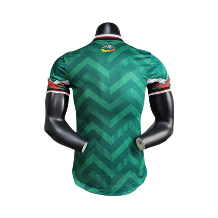 Reversible Windbreaker - Italy