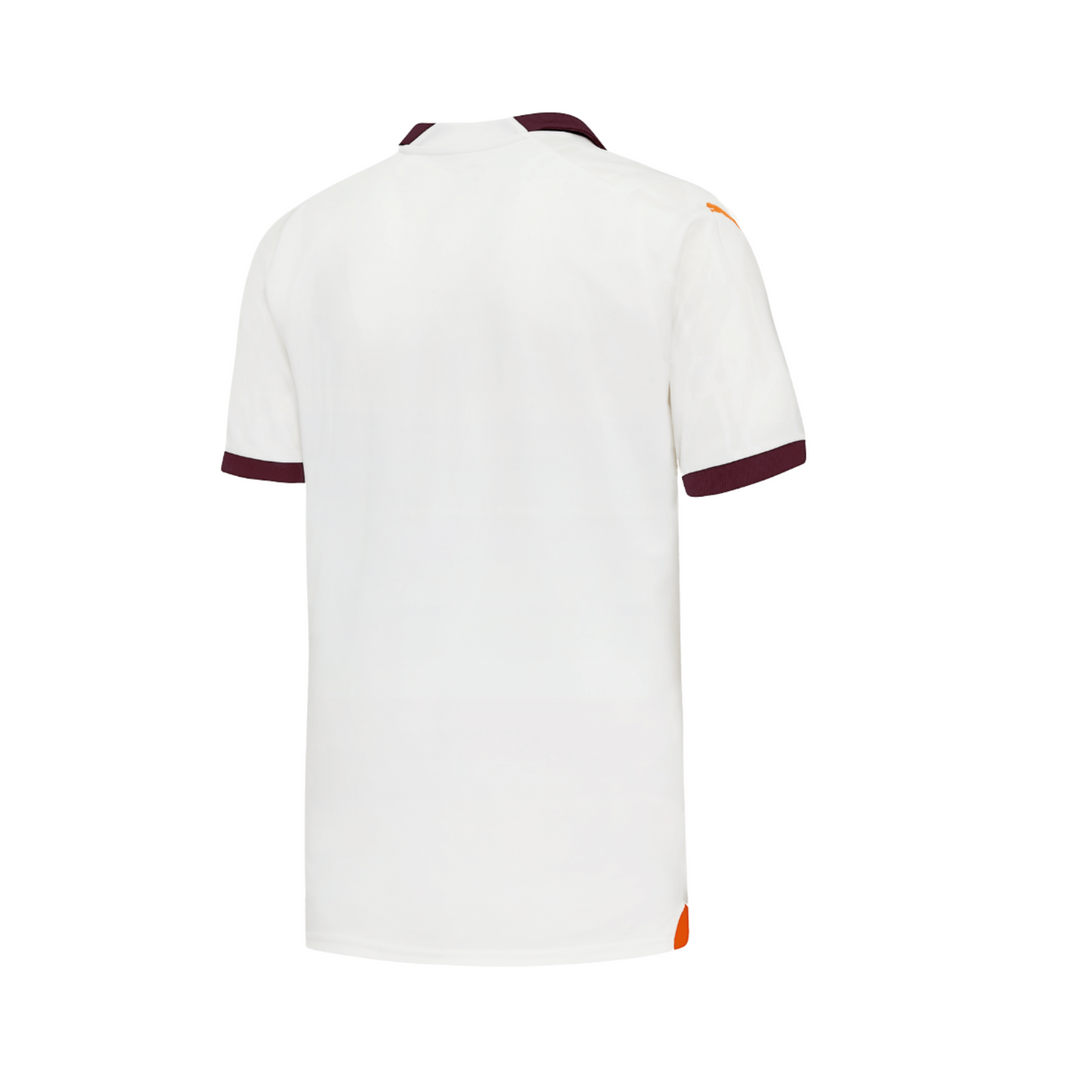 Manchester City Alternative 23/24