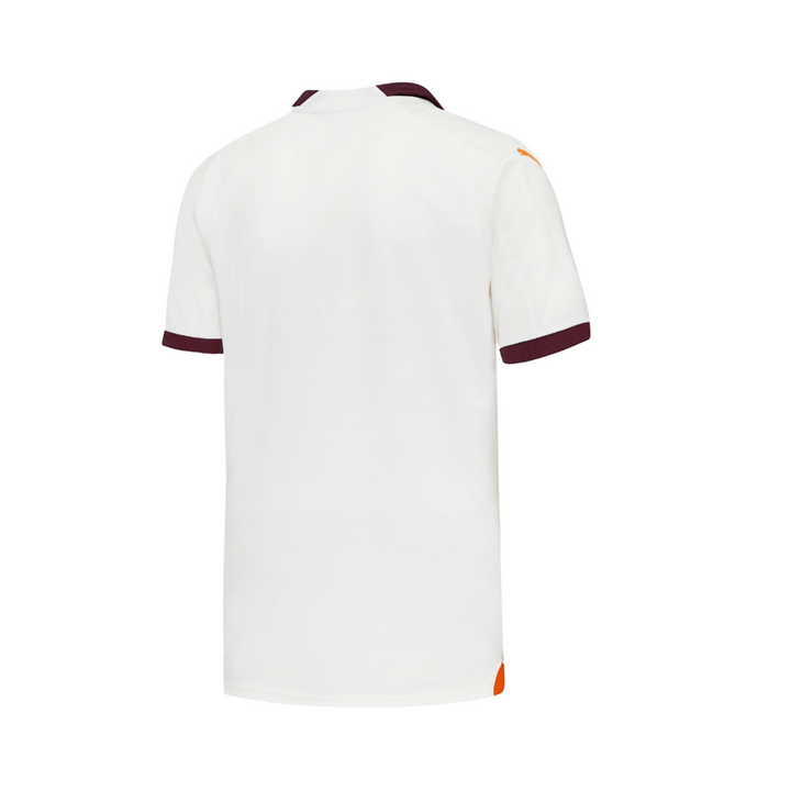 Manchester City Alternative 23/24