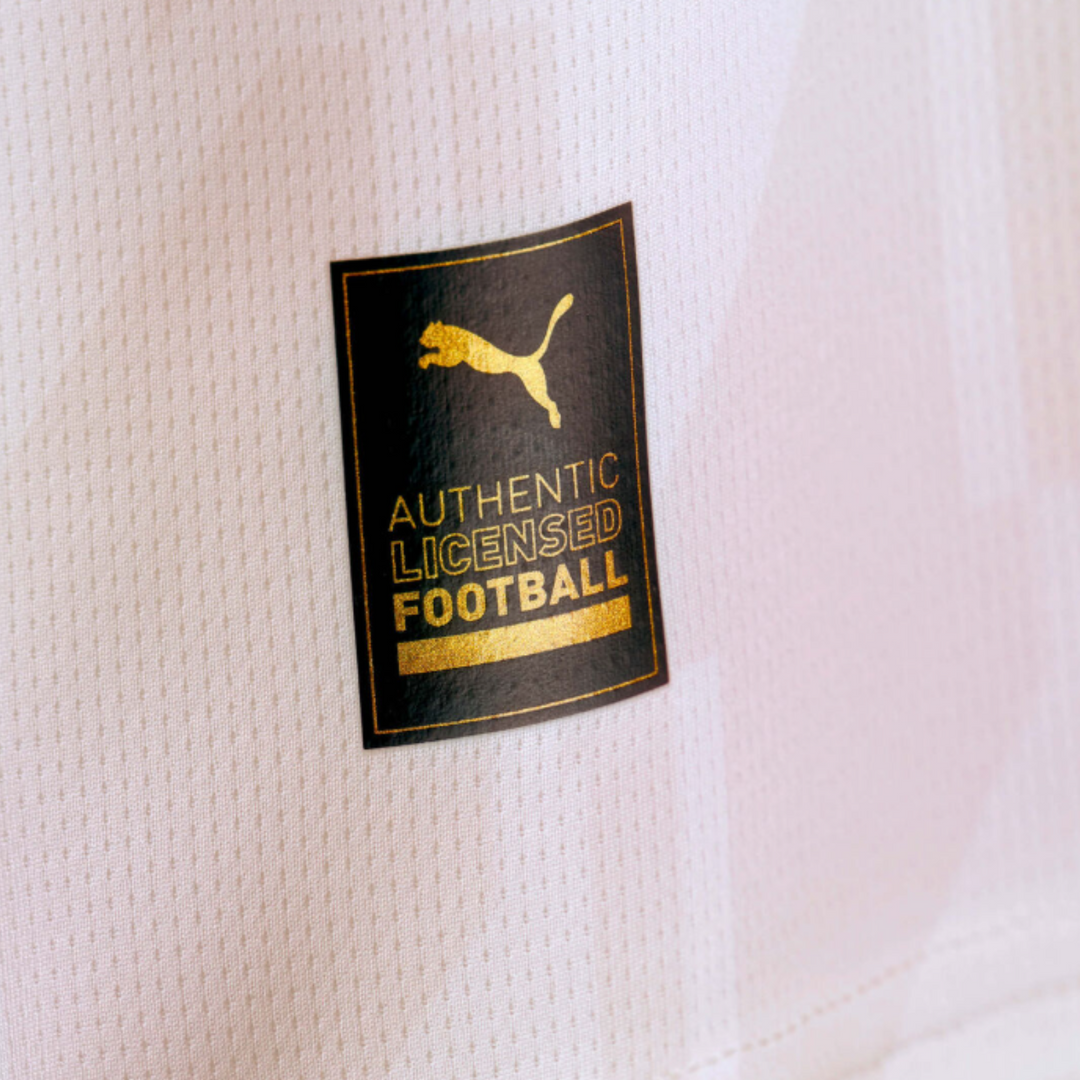 Manchester City Alternative 23/24