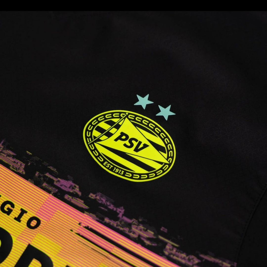 PSV Alternative 24/25