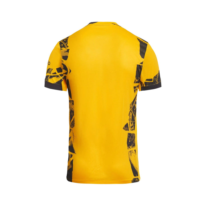 Inter Milan Alternative 24/25