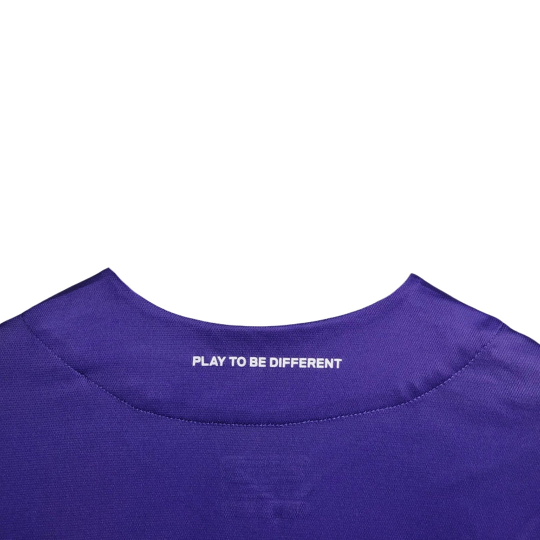 Fiorentina Alternative 23/24