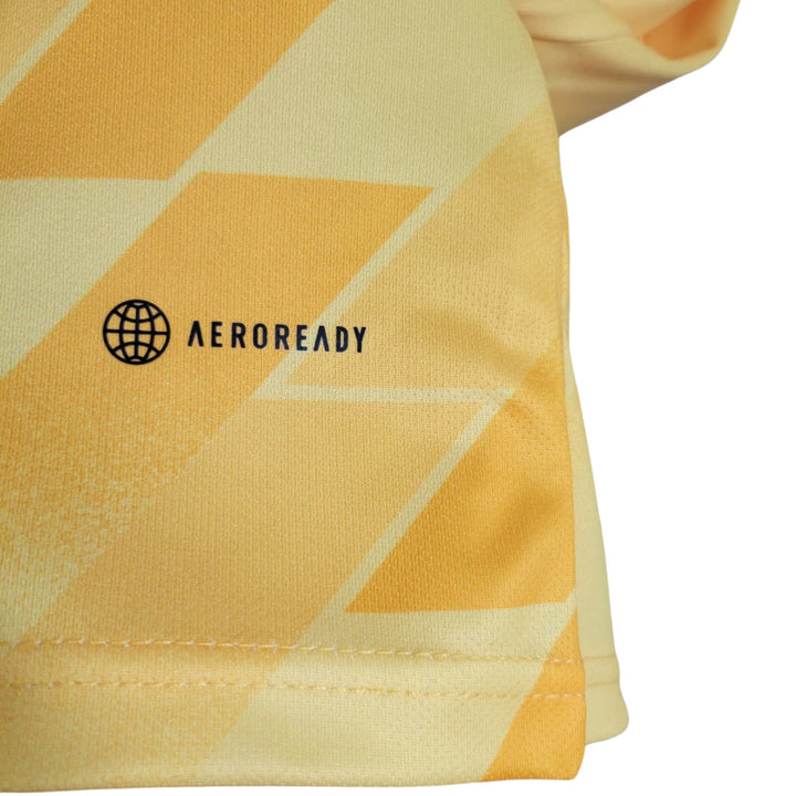 Ajax Alternative 23/24