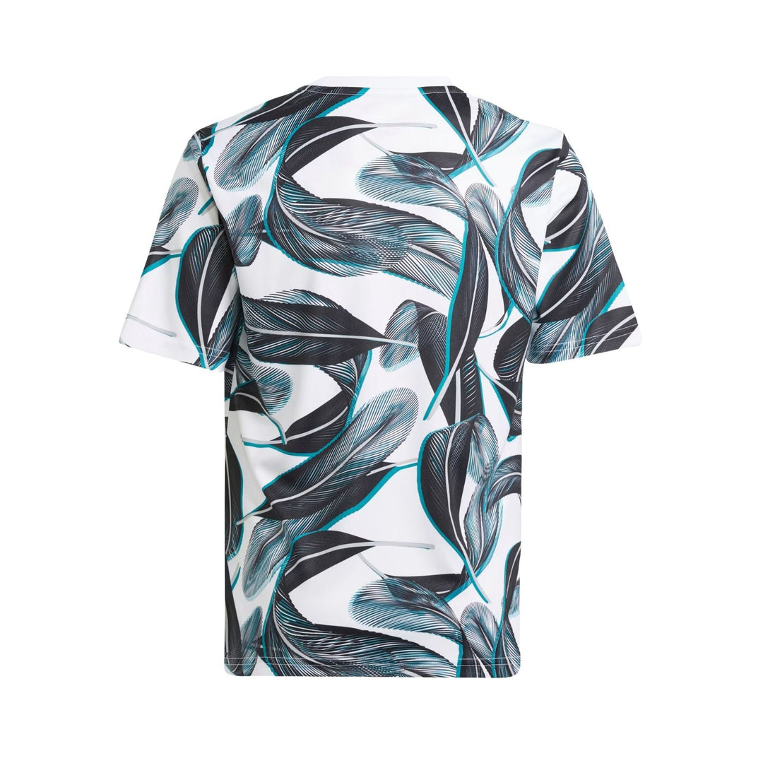 Newcastle United Pre-Match 24/25