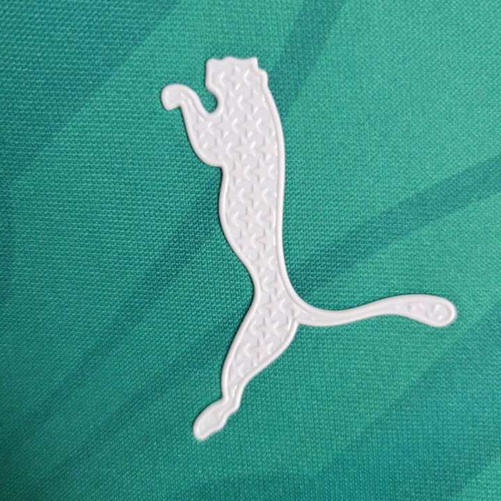 Palmeiras Training 24/25