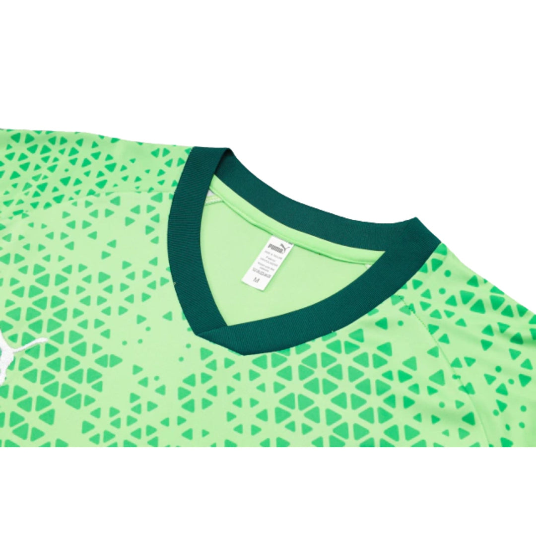 Palmeiras 24/25 - Training Equipment