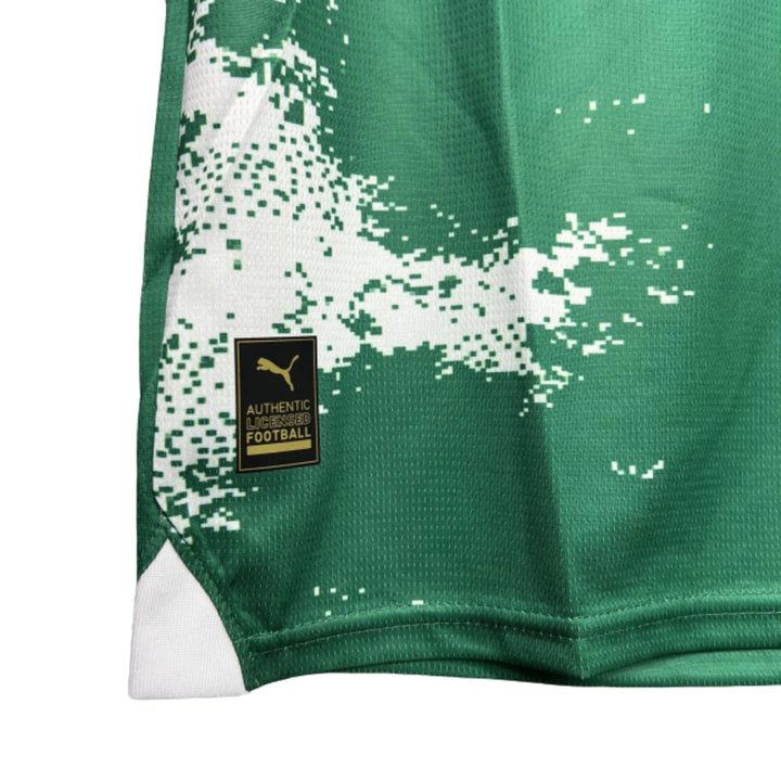 Palmeiras Special Edition 24/25