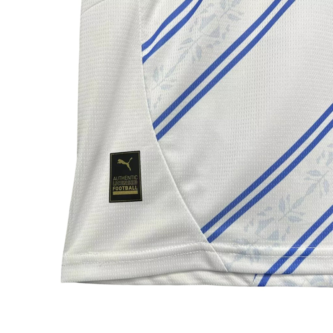 Fenerbahce Alternative 24/25