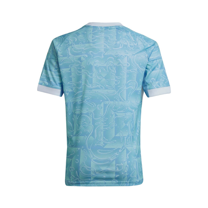 Juventus Alternative 25/26