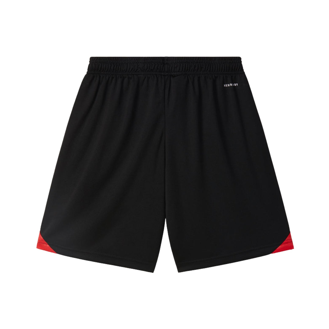 Benfica 25/26 - Training Kit with Polo Shirt