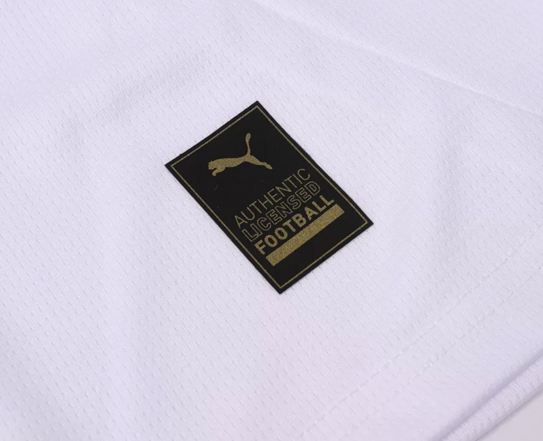 AC Milan Alternative 24/25