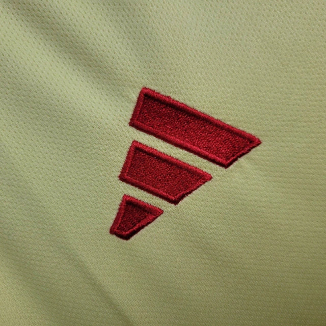 Wales Alternative 24/25 – Euro 2024