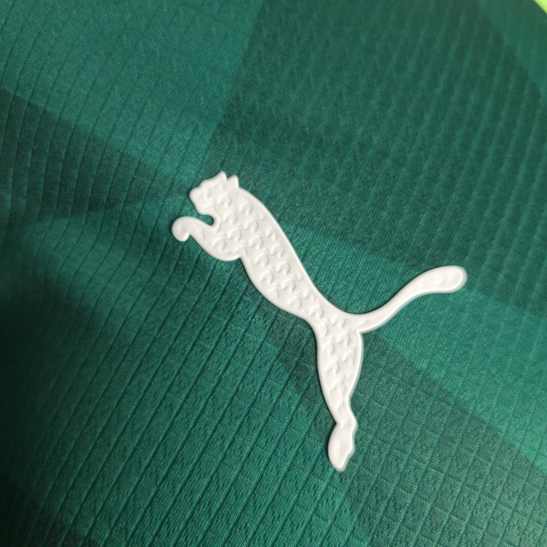 Palmeiras Home 23/24 - Player Version
