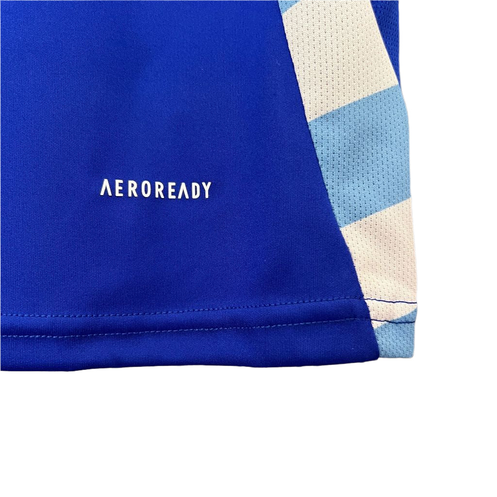 Argentina Alternative 24/25 - Copa América 2024